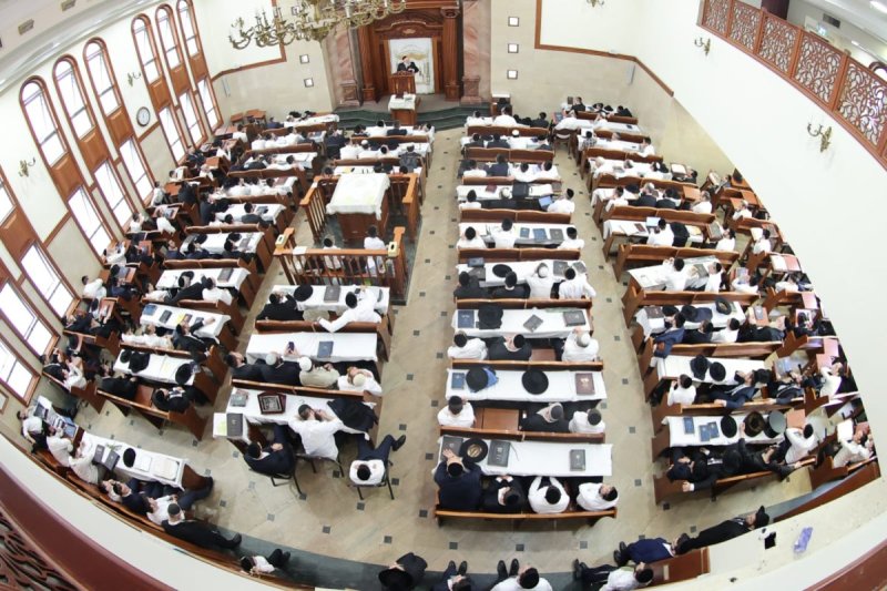 שלומי טריכטר