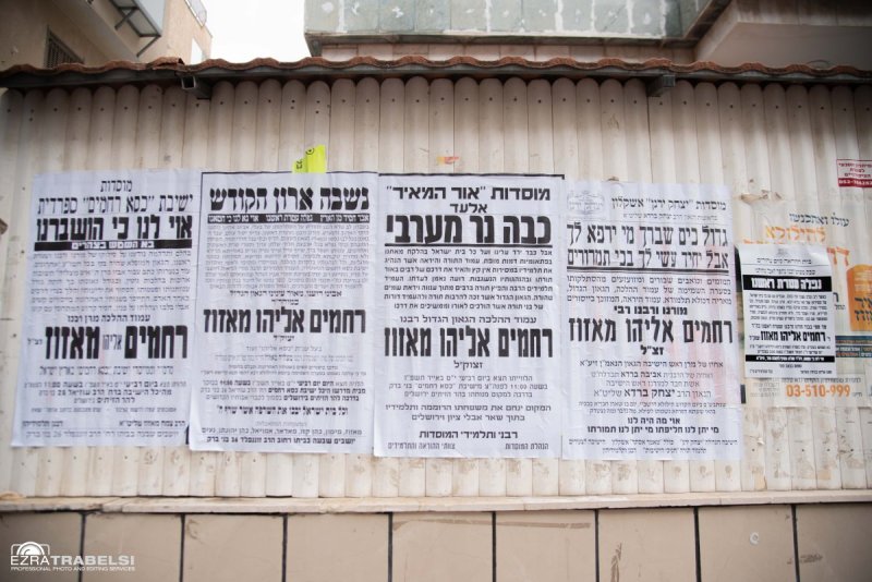 עזרא טרבלסי