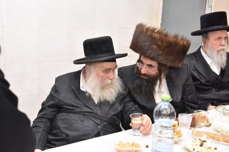 יהודה פרקוביץ