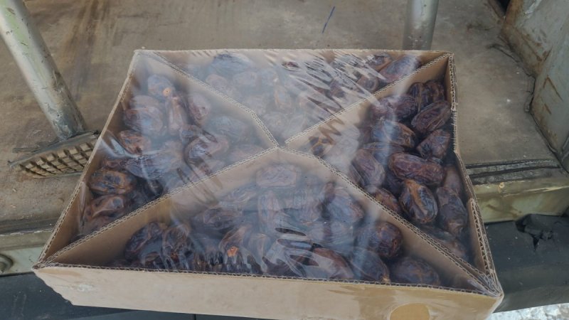 משרד החקלאות