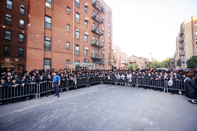 האחים לאנטשעווסקי ואושי וויינגארטן