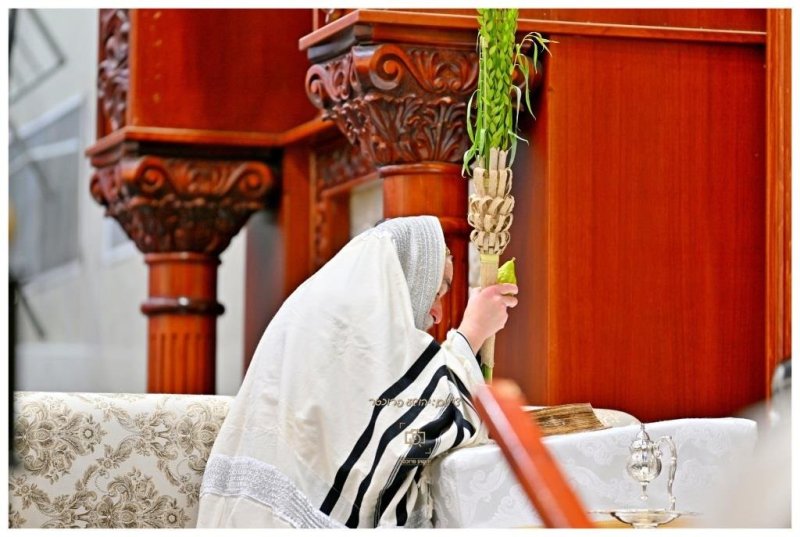 יהושע פרוכטר