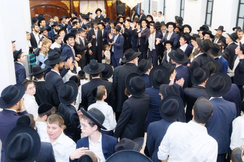 אלעזר פיינשטיין