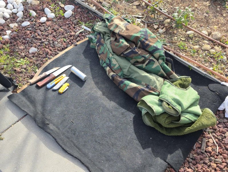 דוברות המשטרה