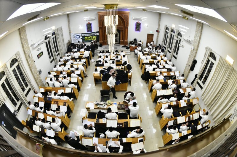 רינה של תורה