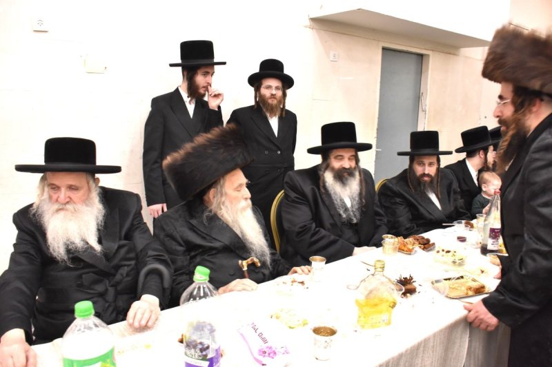 יהודה פרקוביץ