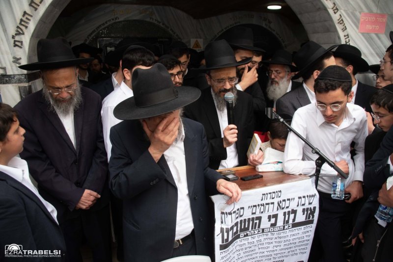 עזרא טרבלסי