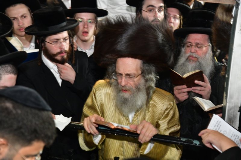 יוסי לוי