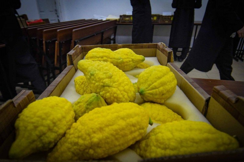 ארי קופרשטוק