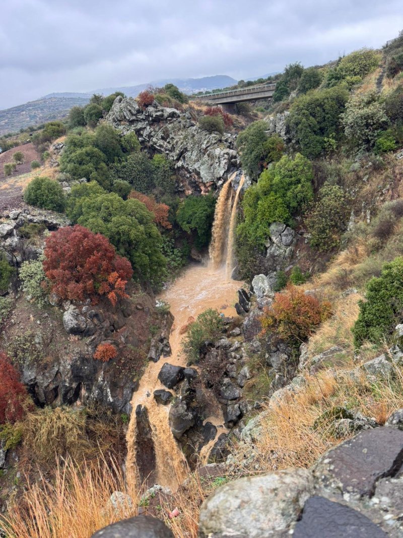 עודאי עבד אל ולי רשות הטבע והגנים