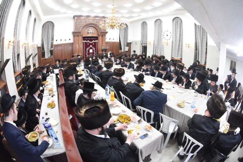 יהודה פרקוביץ