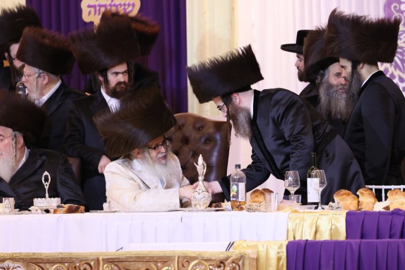 שלמה ב.
