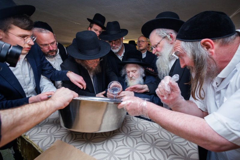 דניאל נפוסי