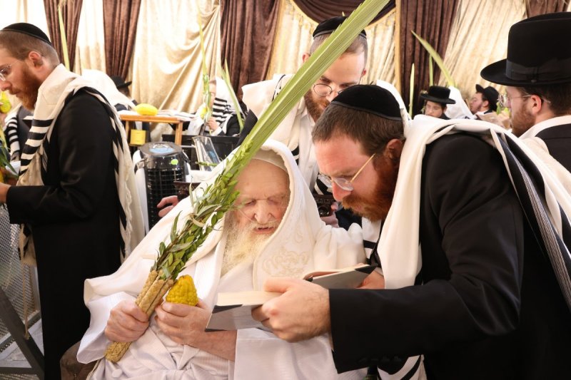 שוקי לרר ושמואל דריי