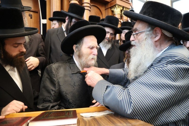 שלומי טריכטר