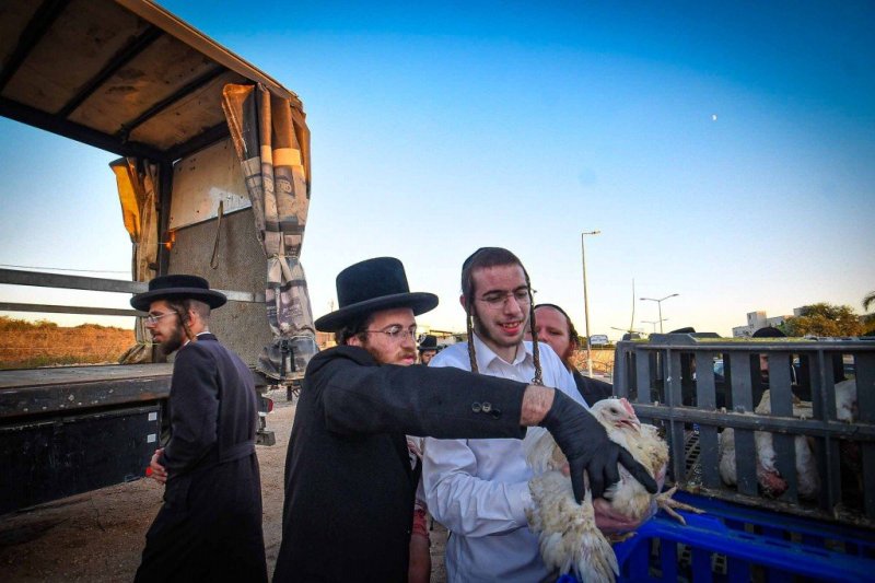 ארי קופרשטוק