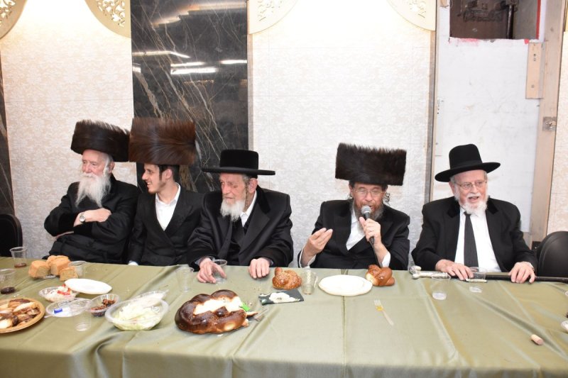 יהודה פרקוביץ