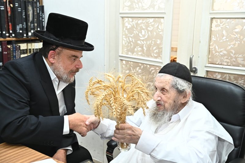 שוקי לרר