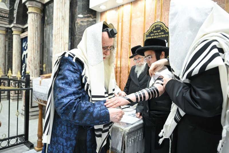 משה גולדשטיין