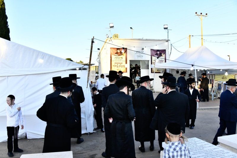 שוקי לרר