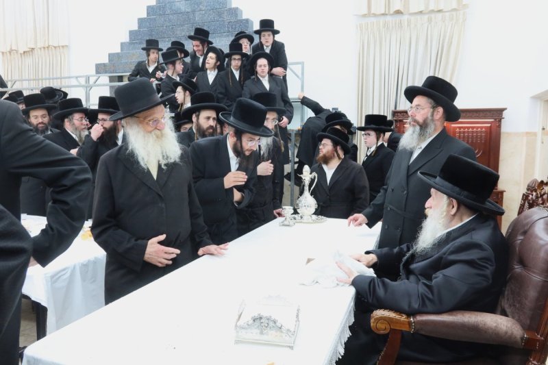 שימי פ.
