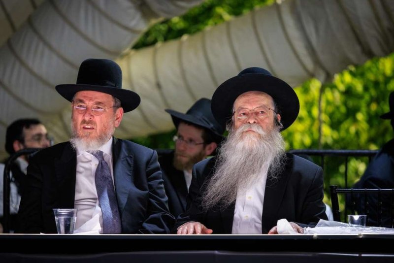 אלי קובין ודניאל נפוסי