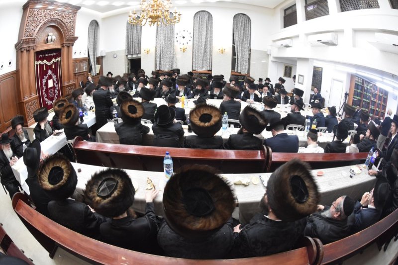 יהודה פרקוביץ