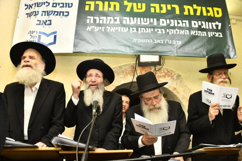 רינה של תורה