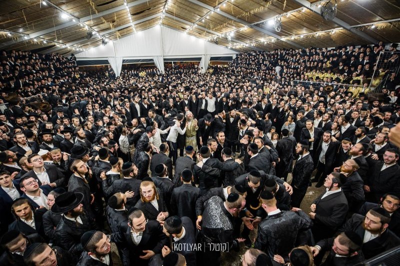 מענדי קוטלר