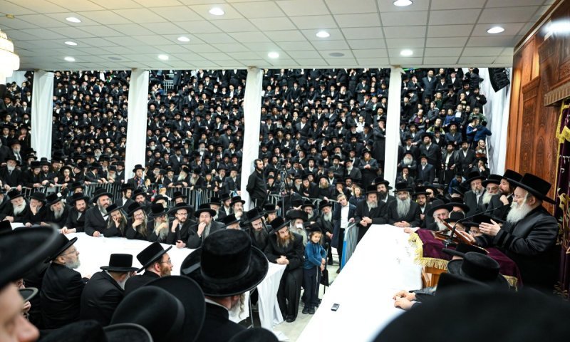 סערת המוהלים בבלגיה: "הפקירו אותם בזמן אמת"
