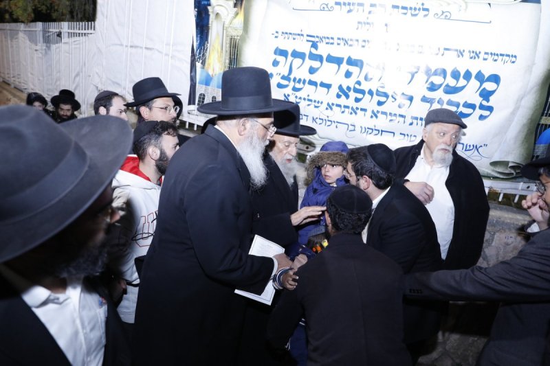 שייקה אור