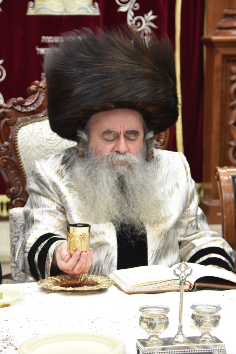 יהודה פרקוביץ