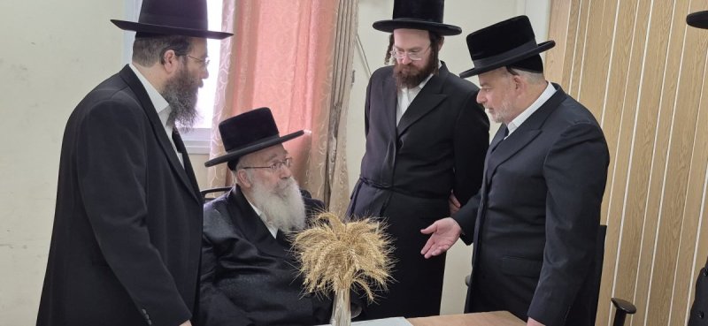 שוקי לרר