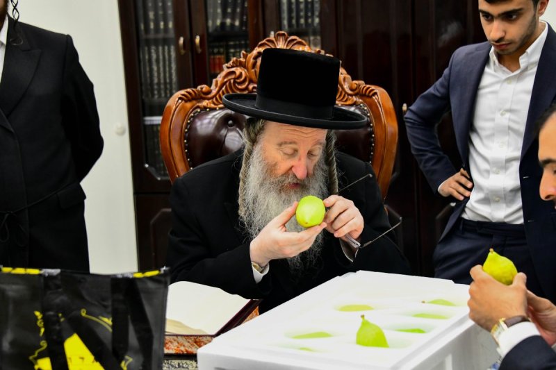 שוקי לרר