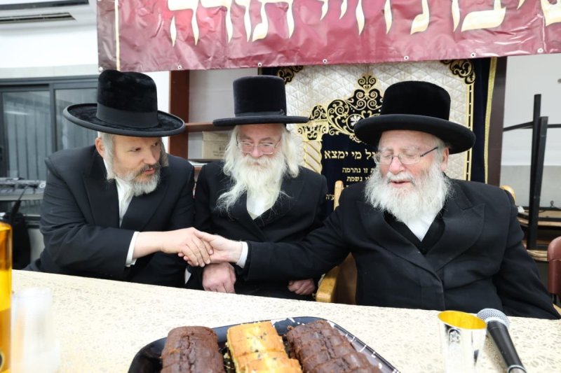 קובי הר צבי