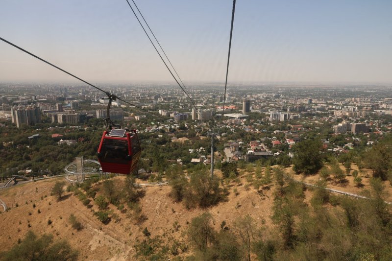 מרדכי לובעצקי
