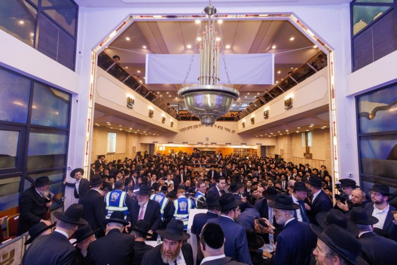 דניאל נפוסי ומאיר זלזניק