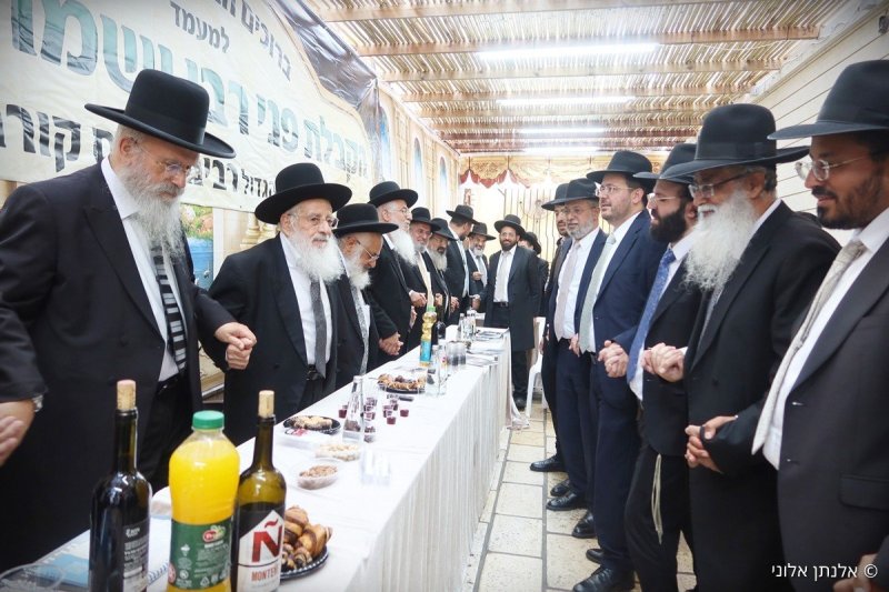 אלנתן אלוני