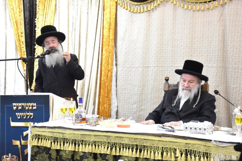 יהודה פרקוביץ