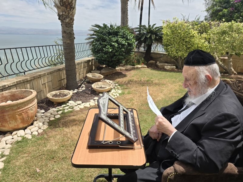 שוקי לרר