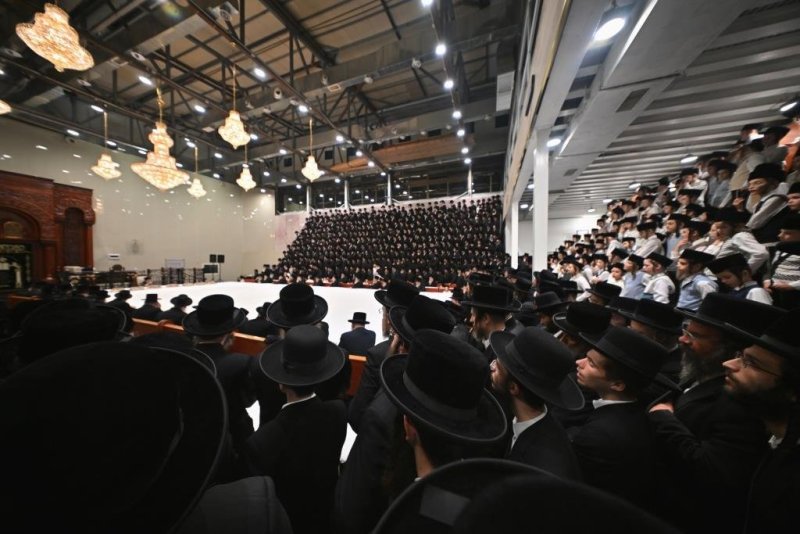 יהושע פרוכטר