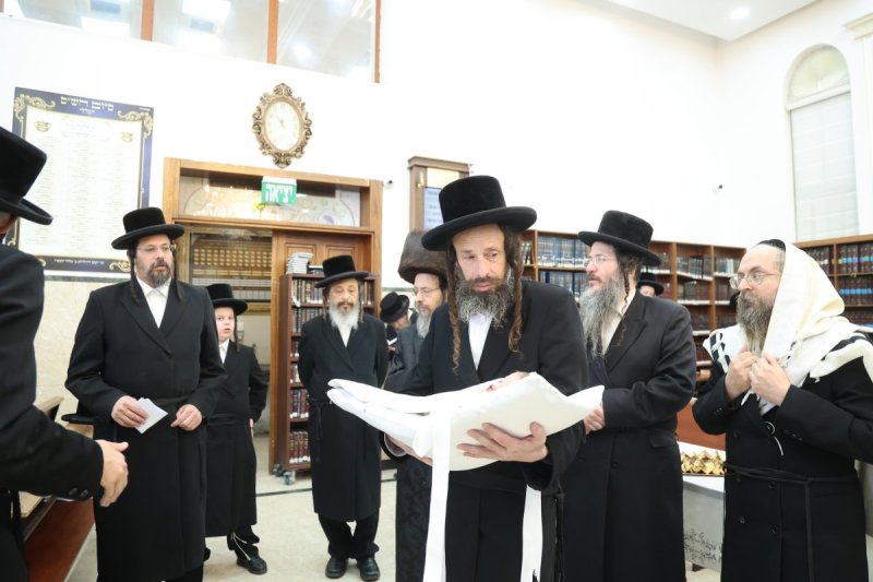 שלומי טריכטר