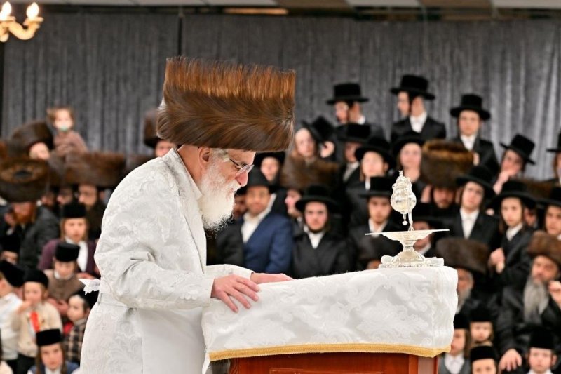 יהושע פרוכטר