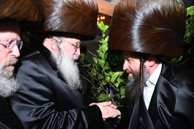 שוקי לרר