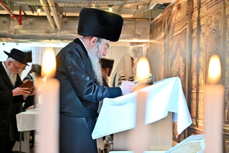 יהושע פרוכטר