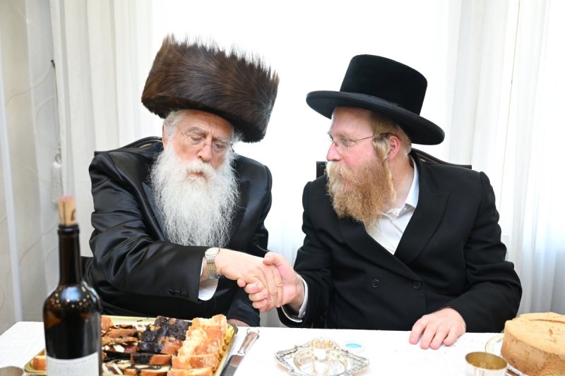 משה גולדשטיין דוד ארזני