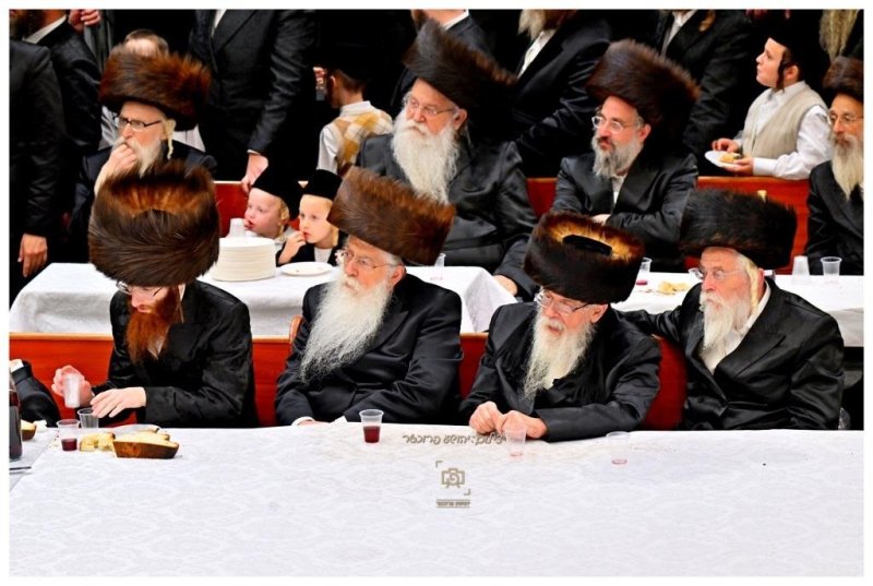 יהושע פרוכטר