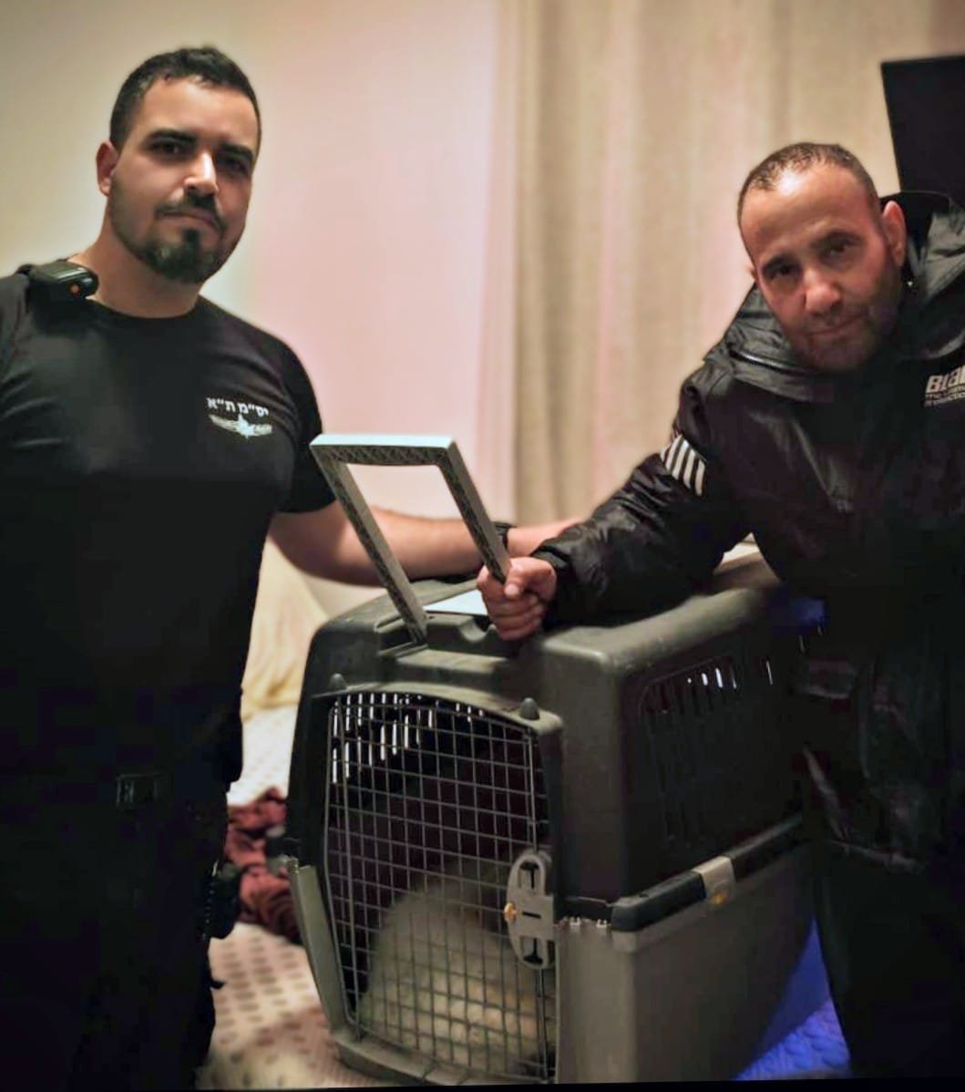 דוברות המשטרה 