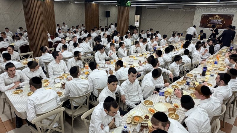 אלעזר פיינשטיין