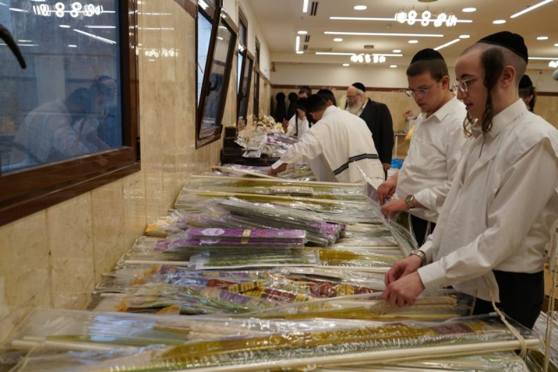 נתן הורוויץ